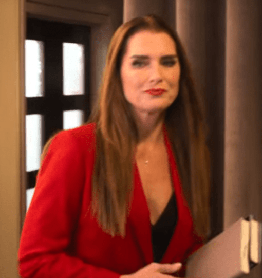 A Castle For Christmas Brooke Shields Red Blazers