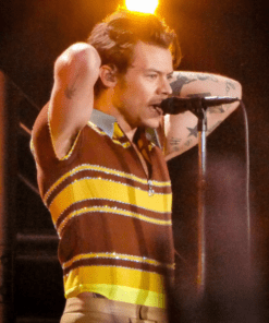 Harry Styles Love On Tour 2023 Brown T-shirt