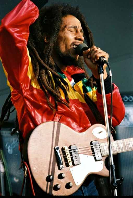 bob marley multicolor jacket