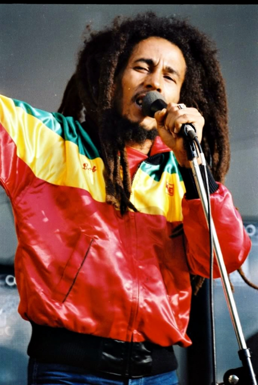 bob marley track jacket