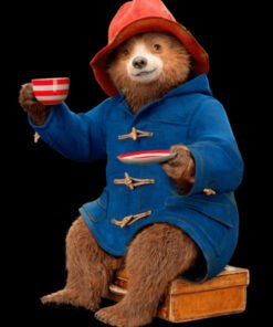 Paddington Bear Blue Coat