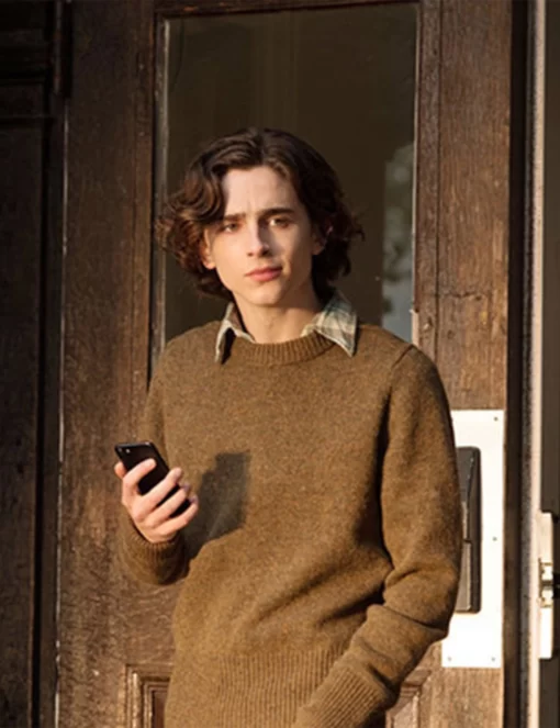 A Rainy Day In New York Timothée Chalamet Sweater