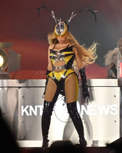 Beyonce Bee Yellow And Black Halloween Costume