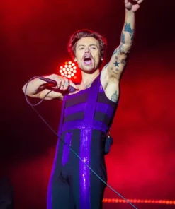 Harry Styles Love On Tour Furious Slane Castle Jumpsuit