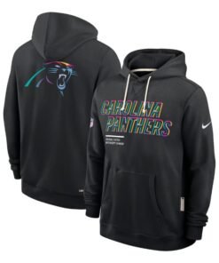Carolina Panthers 2025 Crucial Catch Hoodie